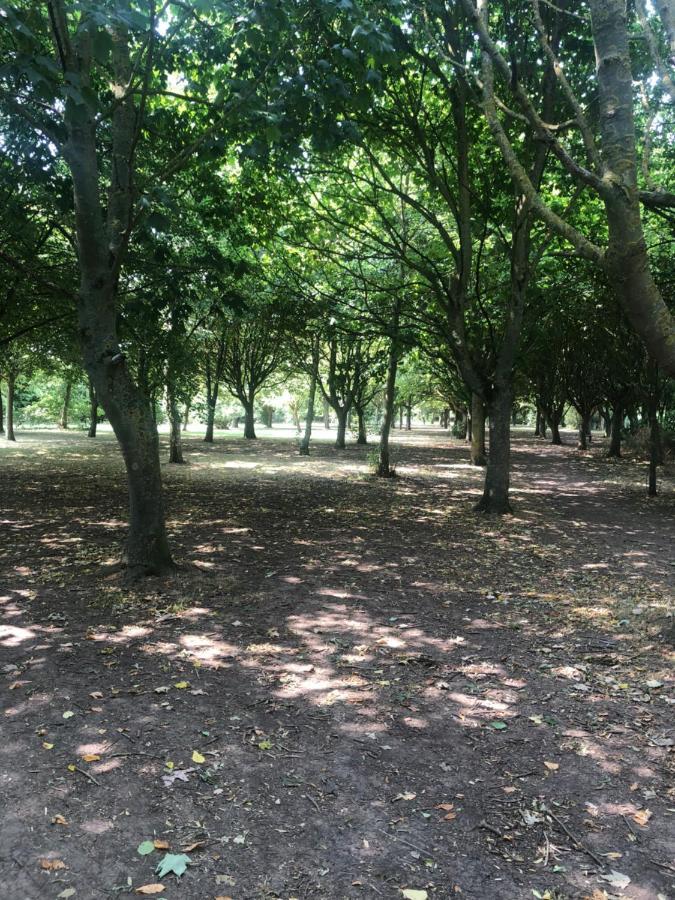 Hallstead Skegness Bagian luar foto